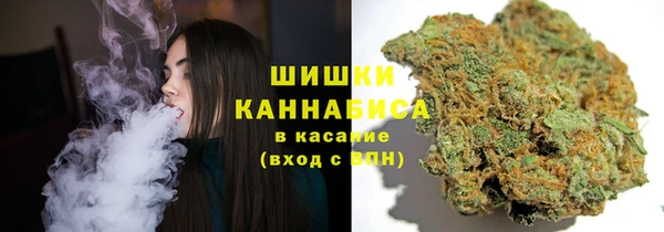 ALPHA PVP Покров