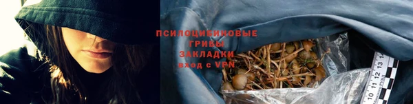 шишки Алзамай