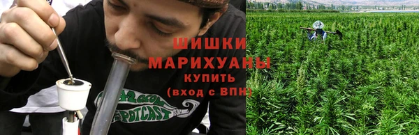 стафф Протвино