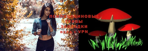 шишки Алзамай