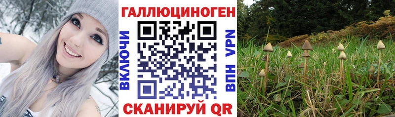 Галлюциногенные грибы MAGIC MUSHROOMS  mega маркетплейс  площадка какой сайт  Валдай 